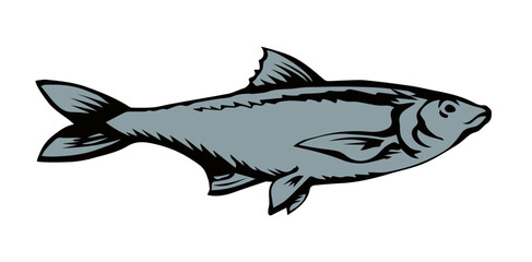 Big sea fish. Vector drawing