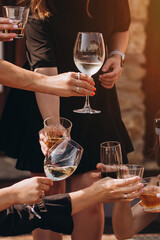 Clinking glasses with alcohol and toasting, party