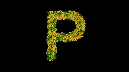 Beautiful illustration of English alphabet P with green leaves and yellow daisy flowers on plain black background