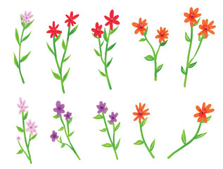 Collection of  Wildfower Florals and Leaves Vector Elements