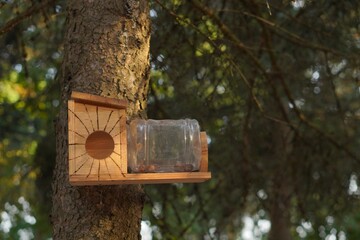 An old spruce tree with a bird feeder made of wooden natural materials and a plastic bottle. The concept of caring for forest dwellers and the second life of things