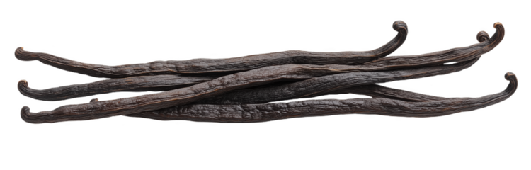 Richly textured vanilla beans arranged artistically on a clean white surface