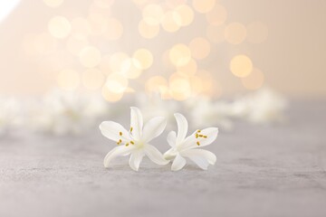 Beautiful jasmine flowers on grey surface against light background with blurred lights, closeup