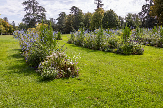 Parterres et massifs de fleurs entour&eacute;es d'all&eacute;e en pelouse dans un jardin botanique