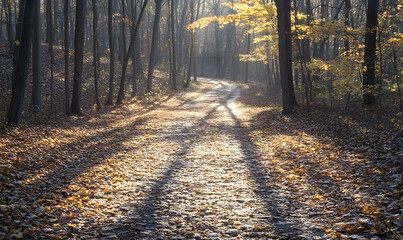 Fototapeta premium Stunning Nature Landscapes: Mountains, Forests, Oceans, and Serene Vistas.