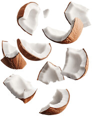 Delicate fragments of coconut scattered against a pure white backdrop