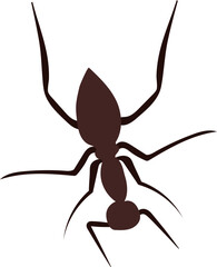 Single Ant Animal Illustration Isolated on White Background
