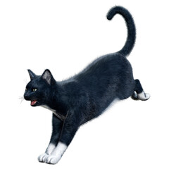 3D Rendering Black Cat on White