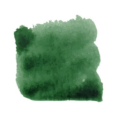 Dark green grass watercolor brushstroke. Texture paint. Vector illustration isolated on white background