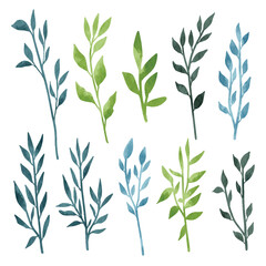 Fototapeta premium Watercolor Leaves Element Vector Collection