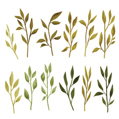 Obraz premium Watercolor Leaves Element Vector Collection