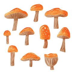 Watercolor Mushrooms Element Vector Collection