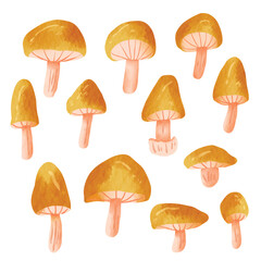 Watercolor Mushrooms Element Vector Collection