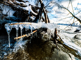 Melting ice floe with icicles lays on the coast