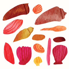 Watercolor Seashells Marine Life Element Vector Collection