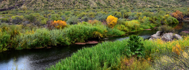 Salt River Recreation Area Arizona