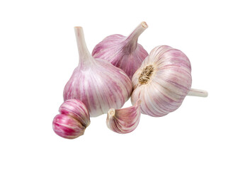 Garlic isolated set.