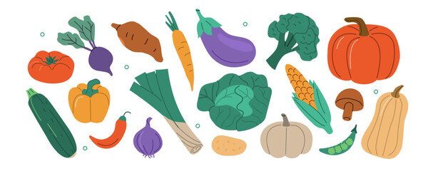 Autumn harvest set. Collections of pumpkin, squash, apple, cabbage and other types of vegetables. Vector illustration.
