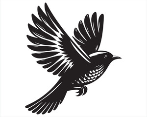 Obraz premium Graceful Soaring Bird – Symbol of Freedom