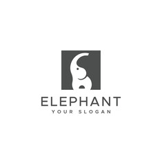 Elephant logo vector template design