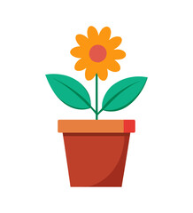 Flowers Pot