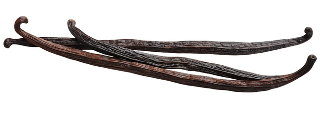 Long, delicate vanilla beans elegantly displayed on a pristine white surface