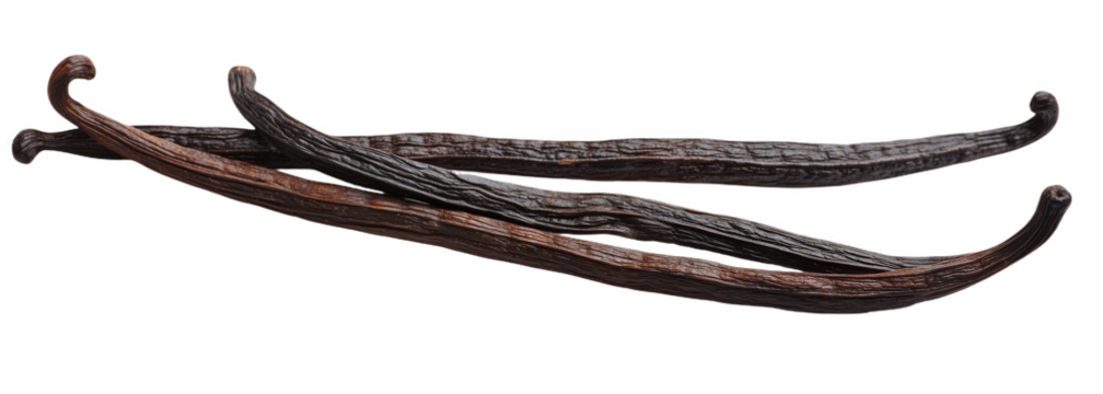 Long, delicate vanilla beans elegantly displayed on a pristine white surface