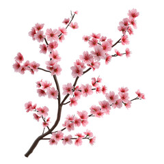 Obraz premium Cherry blossom branch with pink flowers, white isolated background. transparent background