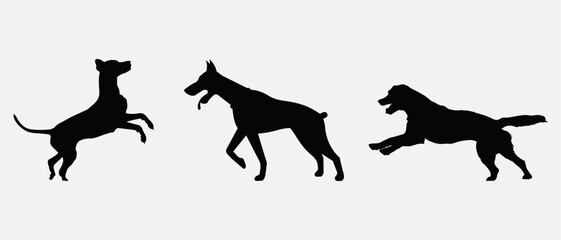 Dog silhouette collection vector. Dog in various poses and activities like jumping, sitting, running, playing, and standing. Silhouette black puppies, pet dog vector