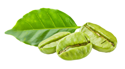 Green coffee beans with leaf isolated on transparent and white background, cut out png