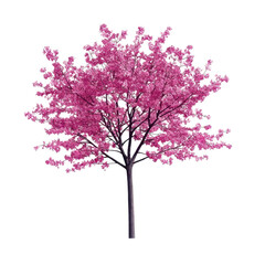 Naklejka premium Vibrant Pink Cherry Blossom Tree in Full Bloom on transparent background