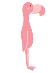 Alice in wonderland elements illustration