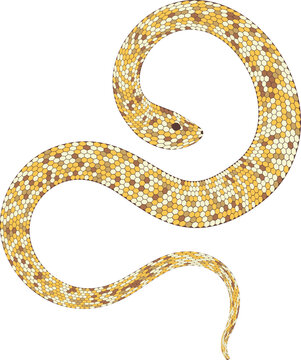 recommend clip art: Stylized wriggling snake of yellow gold color. Abstract illustration for sublimation, posters and prints. Decorative illustration of serpent with golden skin created from hexagons.