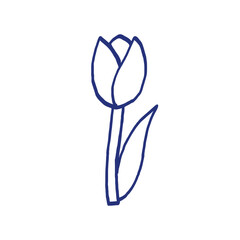 Tulip flower. Doodle vector hand drawn line sketch. Floral illustration for coloring book