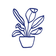 Indoor plant in a pot sketch. Vector doodle black and white outline illustration