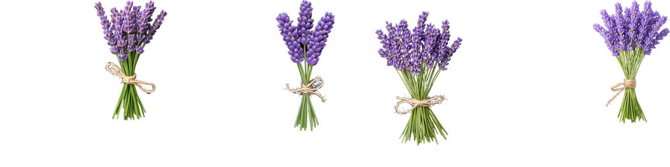 Naklejka premium Four bundles of fresh lavender flowers tied with twine on a transparent background, showcasing natural beauty and vibrant purple hues