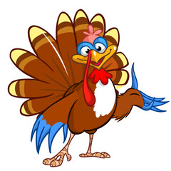 turkey; thanksgiving; cartoon; funny; poultry; vector; bird; happy; character; isolated; cute; day; farm; illustration; mascot; wing; holiday; waving; fowl; contour; icon; pilgrim; party; comic; celeb