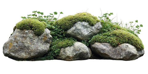 Mossy rocks and greenery arrangement. Transparent background png.