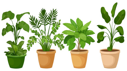 Collection of pots with plants clipart for mockups designs.