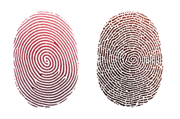 Close up of two distinct fingerprints isolate on transparent background, png, cutout