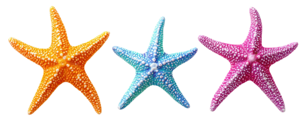 Set of colorful starfish in vivid colors, cut out