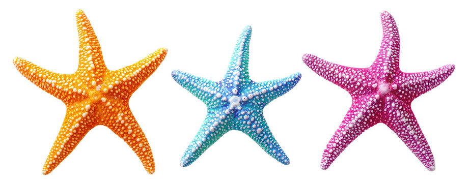Set of colorful starfish in vivid colors, cut out