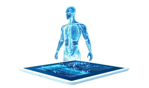 Futuristic holographic representation of a human anatomy isolate on transparent background, png, cutout