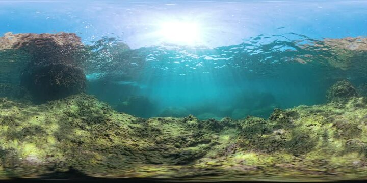VR 360. Sunlit underwater reef in spherical panorama, displaying a serene ocean floor with sunlight breaking through the surface, creating a glowing effect over the rocks and aquatic environment.