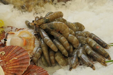 Crevettes roses et grises sur lit de glace