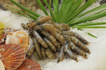 Crevettes roses et grises sur lit de glace