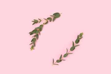 Round frame made of eucalyptus branches on a pink background. Place for your design.