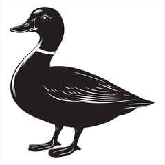 silhouette of a duck,bird, swan, animal, duck, goose, illustration, vector, silhouette, nature, cartoon, water, beak, icon, black, wild, lake, drawing, wildlife, birds, design, feather, love, art, sym