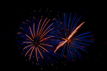 Fototapeta premium Golden and blue sparks of fireworks on the black sky