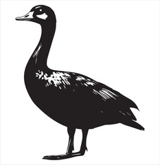 silhouette of a duck,bird, swan, animal, duck, goose, illustration, vector, silhouette, nature, cartoon, water, beak, icon, black, wild, lake, drawing, wildlife, birds, design, feather, love, art, sym